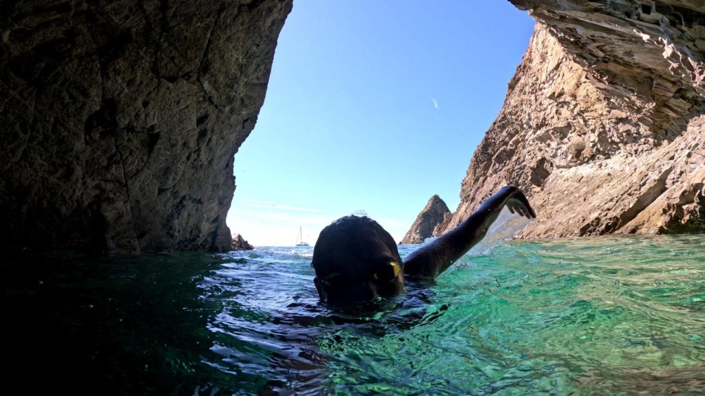 Nuoto tra le rocce